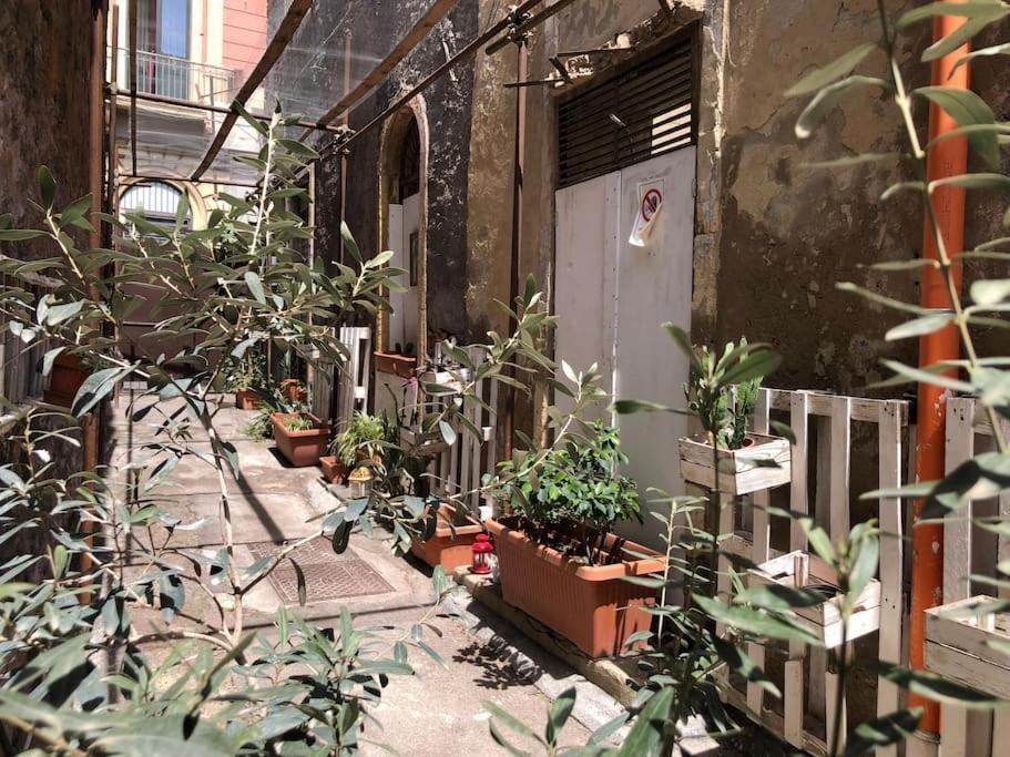 Suite Vicolo Lavico كاتانيا المظهر الخارجي الصورة